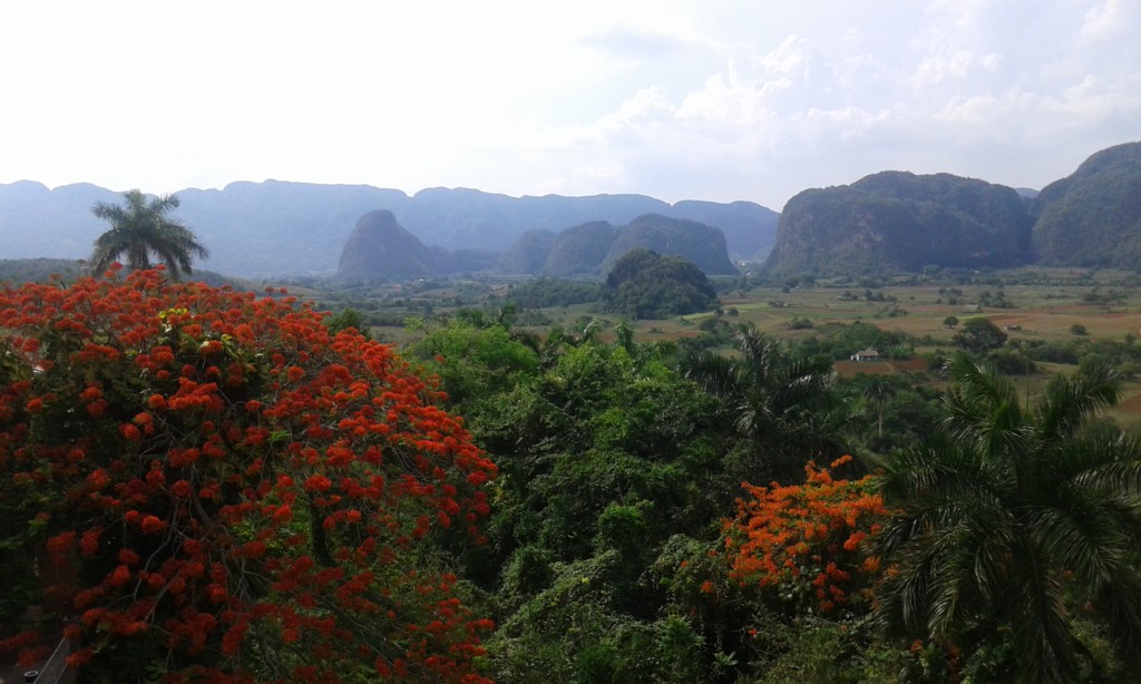 Vue sur la Vallée de Vinales, Cuba