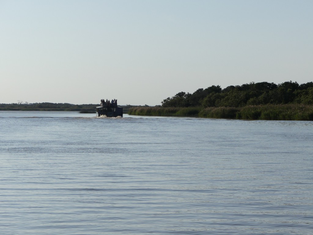 Croisière sur l'estuaire de Ste Lucie