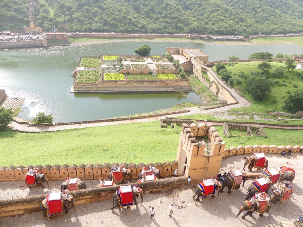 Jardins du Fort d'Amber, Rajasthan, Inde 