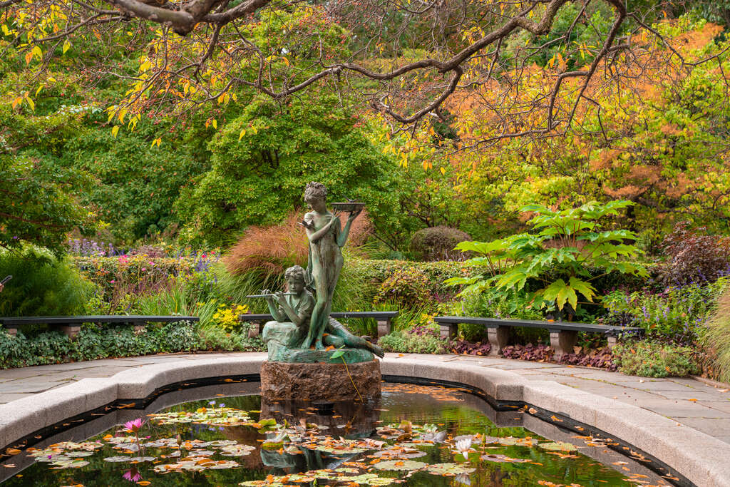 New York Automne