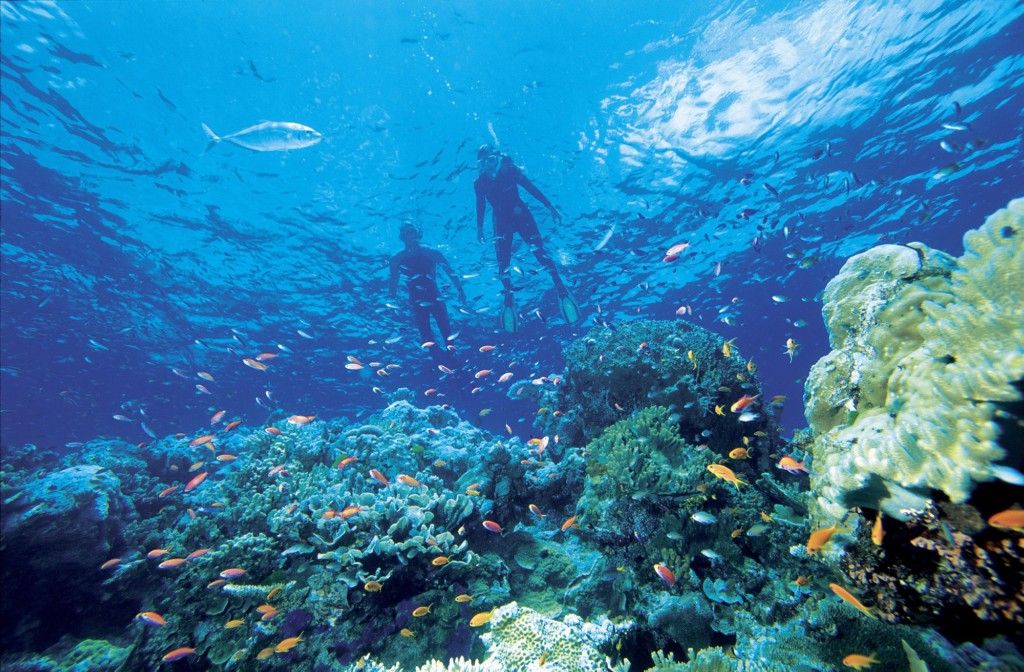 Grande Barrière de Corail