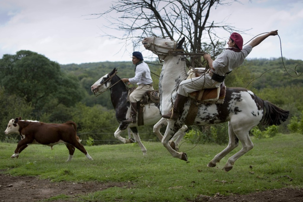 Gauchos, Argentine