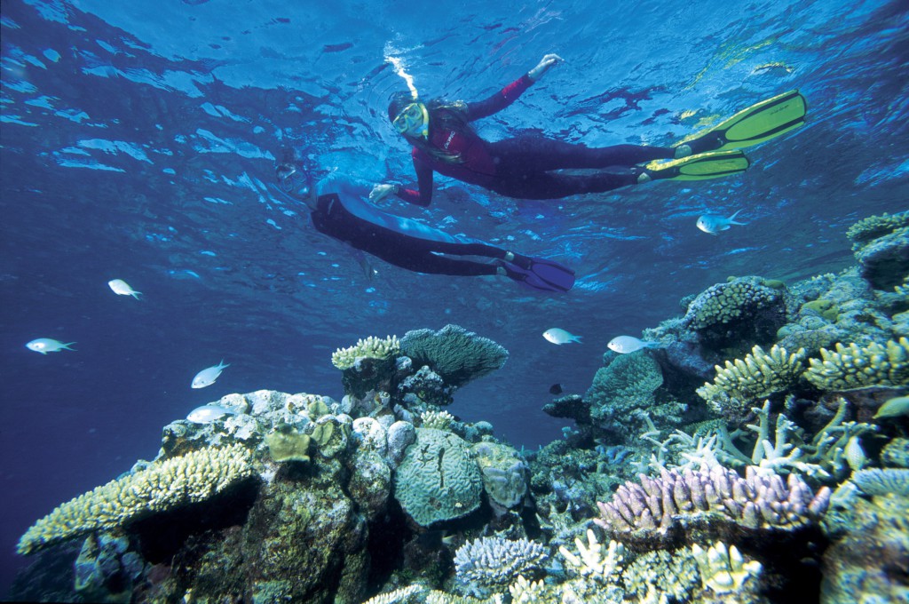 Grande Barrière de Corail