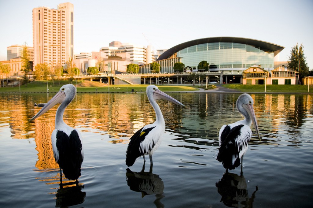 Adelaide, Australie