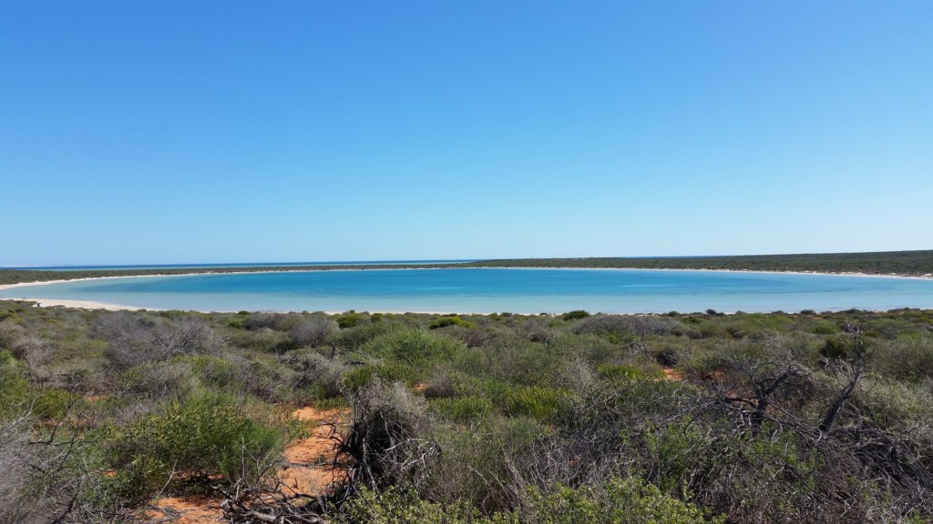 Blue lagoon - Monckey Mia