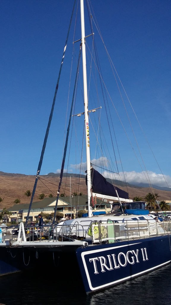 Sortie en catamaran - Maui