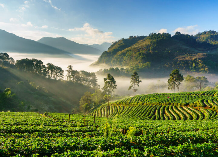 Voyagez en Thaïlande avec de jeunes enfants !