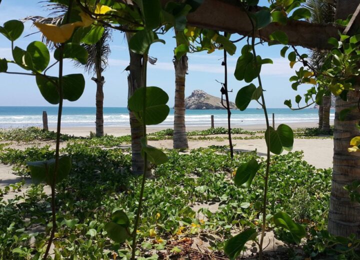 Construction d'une ville touristique 100% écolo au Mexique