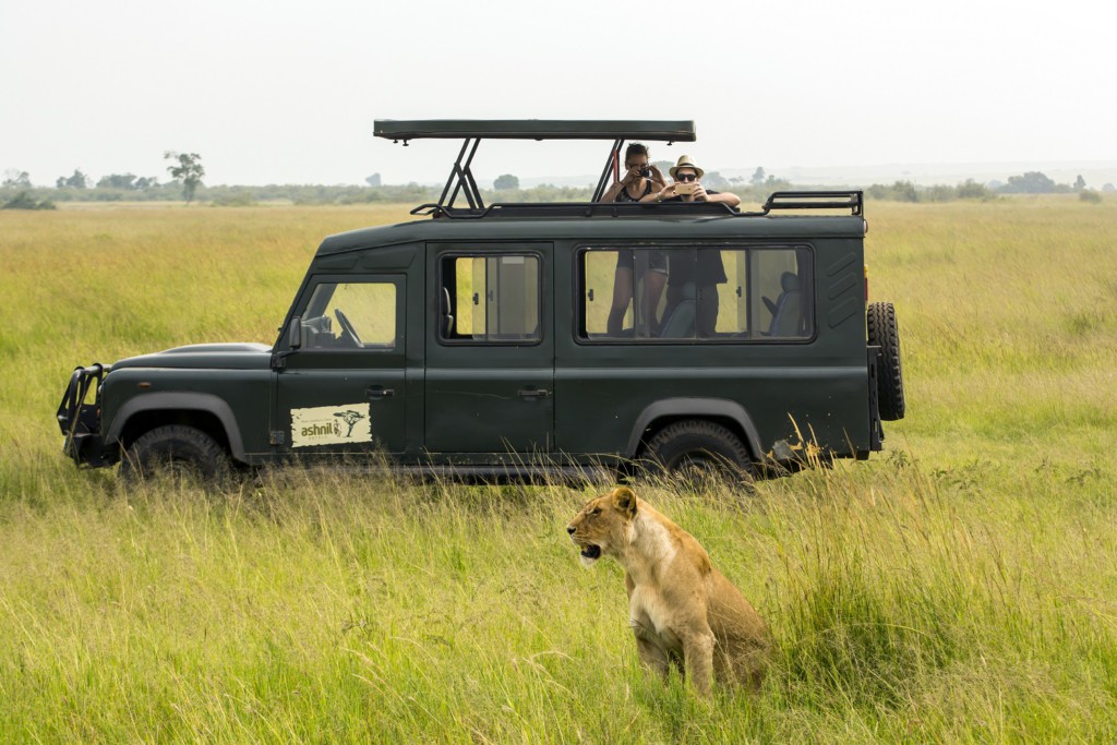 Réserve de Masaï Mara, Kenya