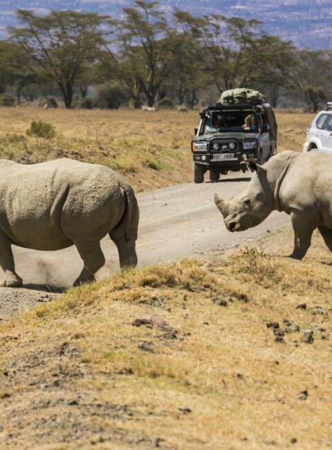 groupe voyage quebec kenya