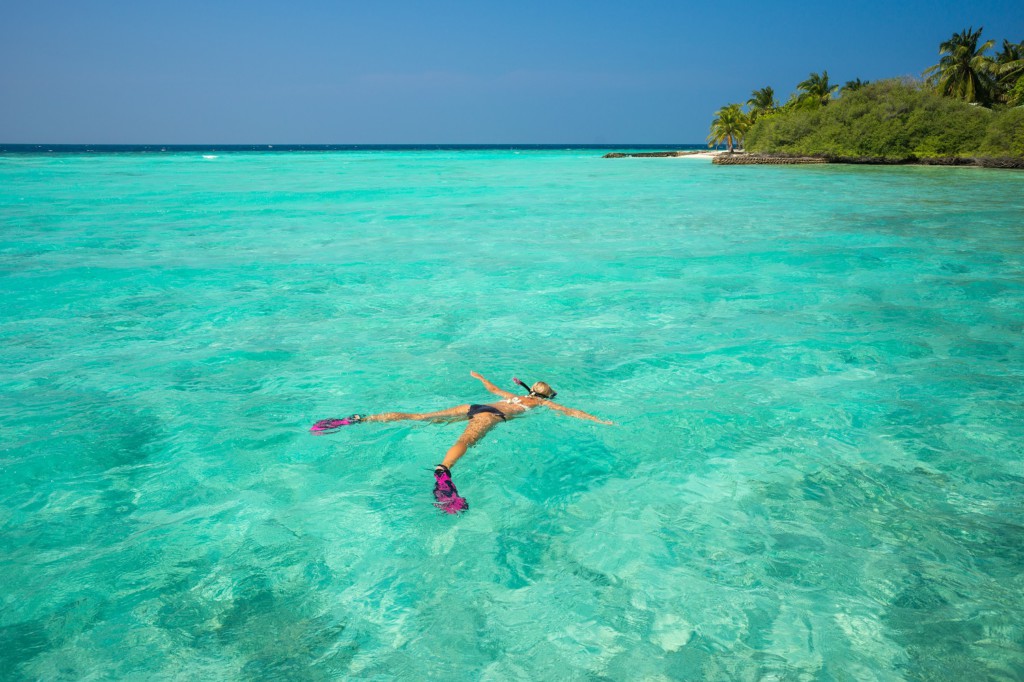 Snorkeling dans les eaux turquoise, Seychelles
