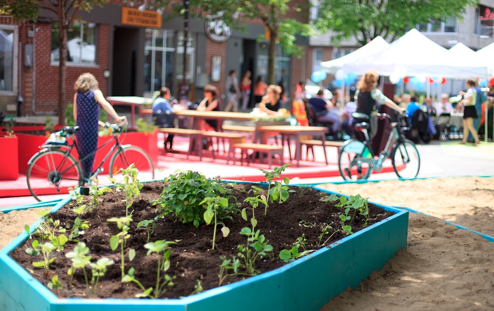 Jardin potager en centre-ville, Montréal, Canada