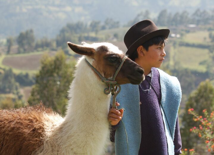 L’Équateur et les îles Galapagos, le meilleur de l’Amérique latine
