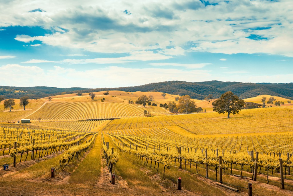 Barossa Valley, Australie