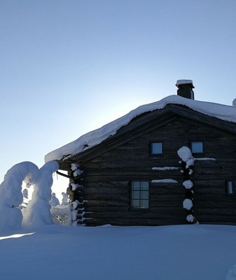 voyage laponie hiver