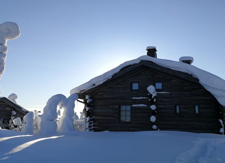 Tendance : un séjour en Laponie au printemps