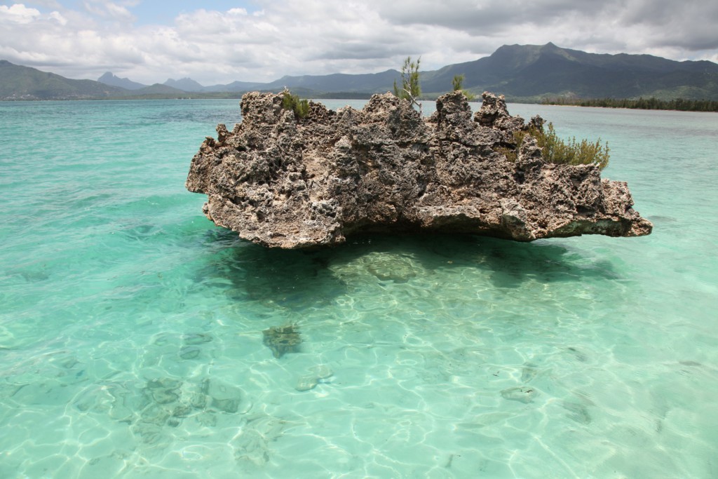 Île aux Bénitiers, Île Maurice