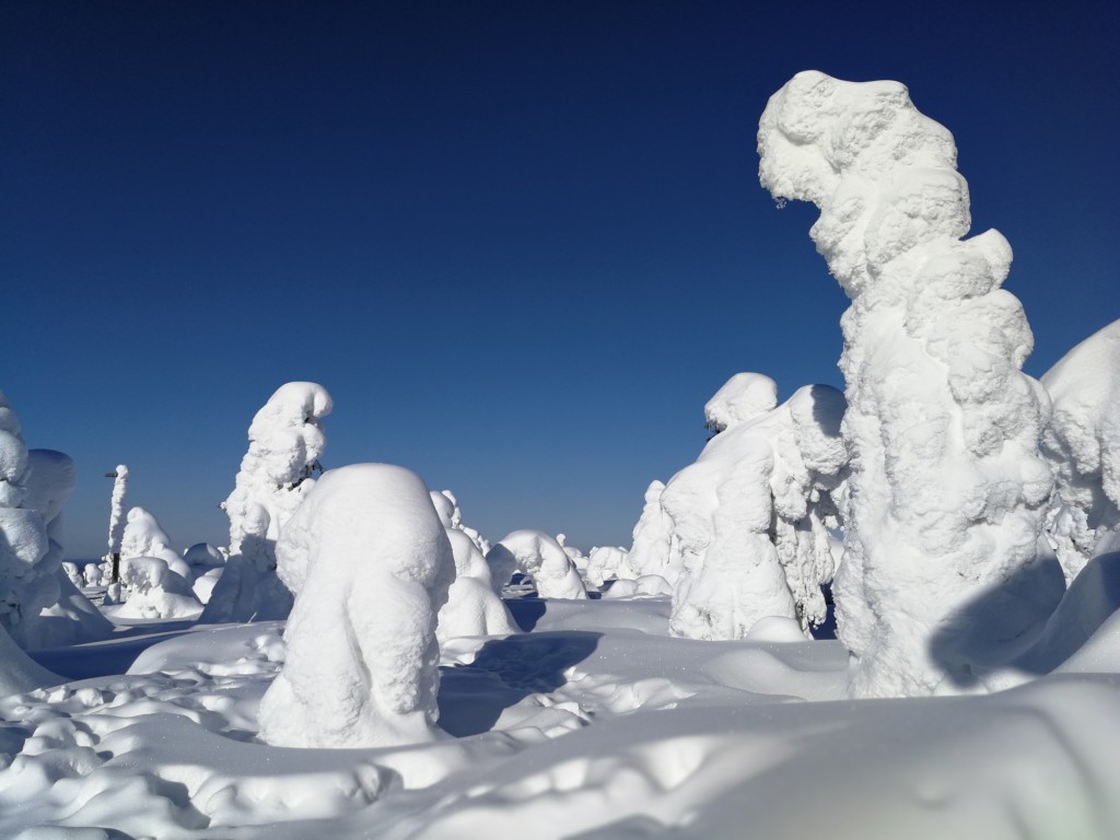 Une semaine cosy en Laponie, le paradis nordique