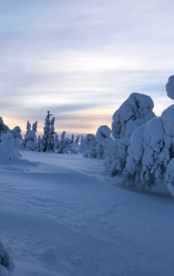Voyage en Laponie finlandaise : l’expérience du Grand Nord