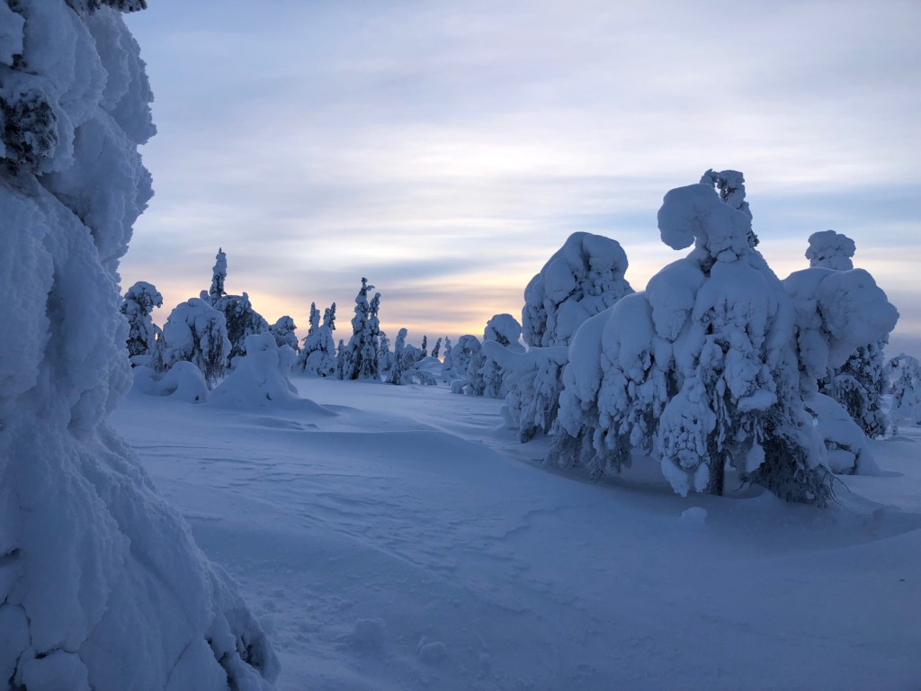 voyage grand nord laponie