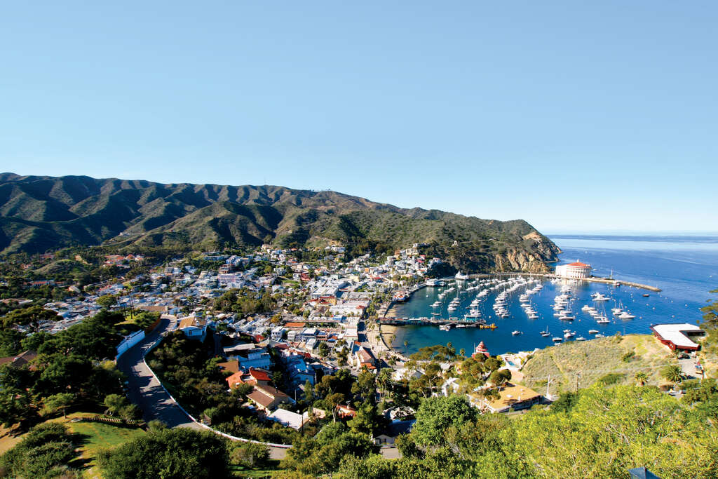 Quoi faire en Californie en famille ? 