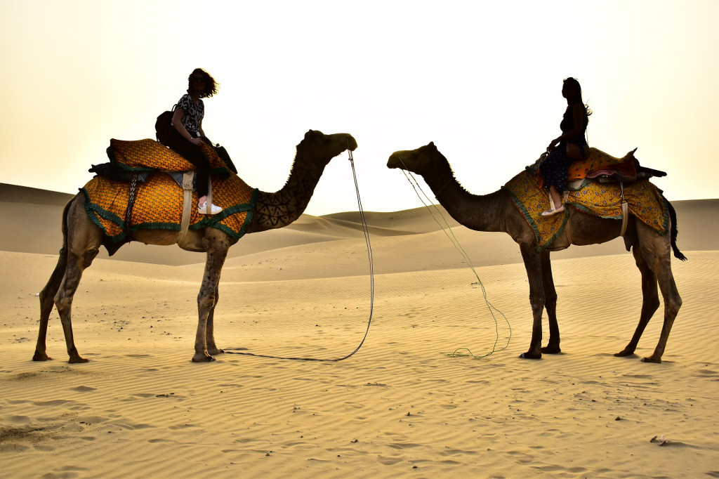 Désert du Thar © Marion Sufize de la Croix