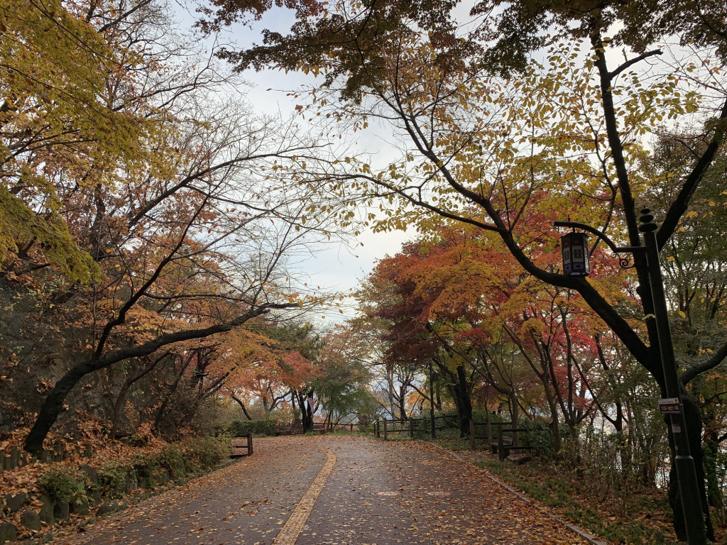 Parc de Namsan, Séoul