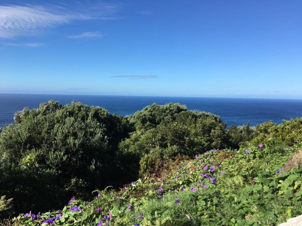 Terceira, les Açores