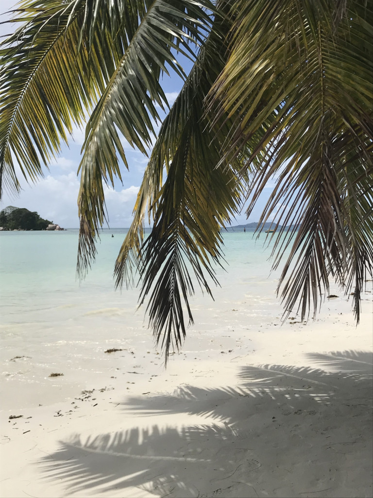 Plages des Seychelles