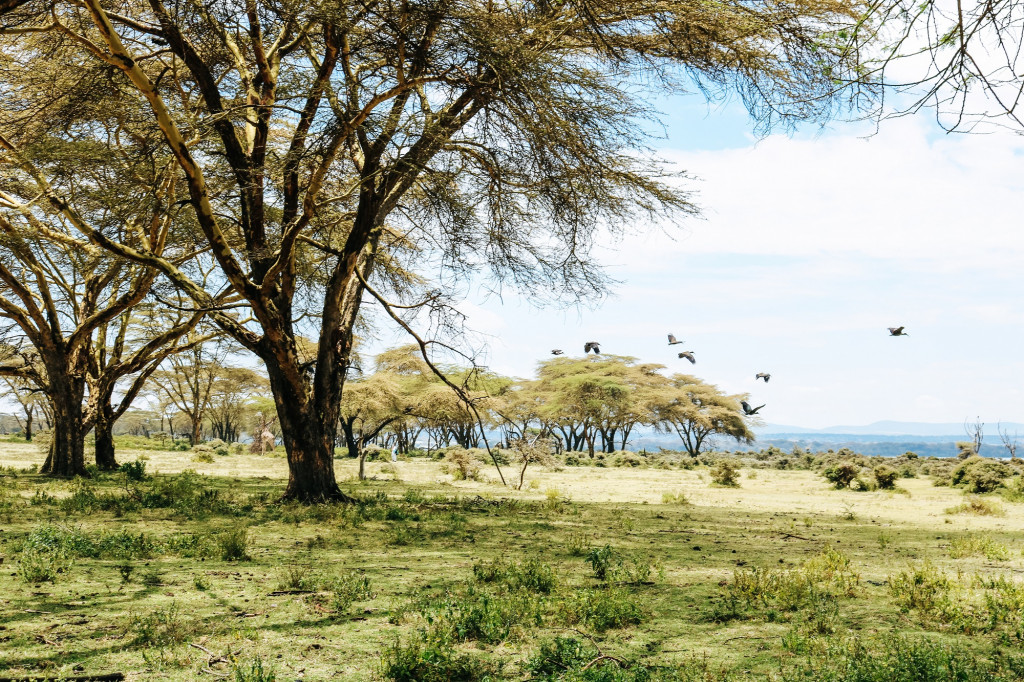 Crescent Island, Lac Naivasha, Kenya