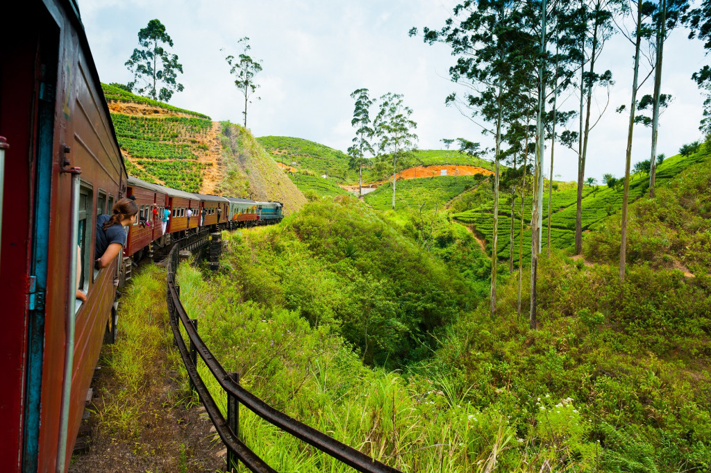 Route du thé, Sri Lanka