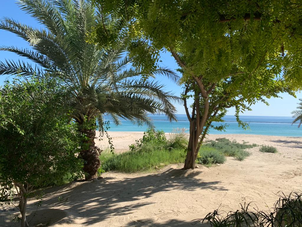 Plage de Musandam