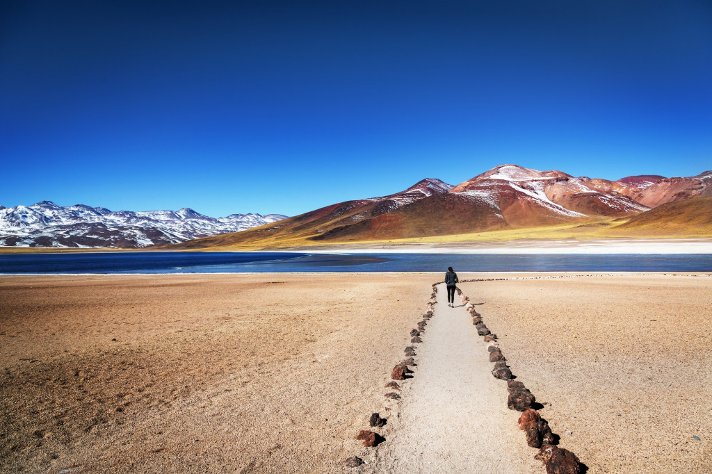 Désert d'Atacama, Chili