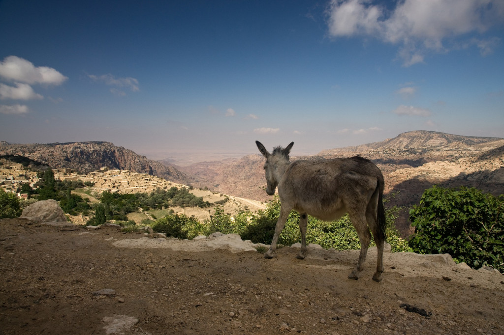 Voyage en Jordanie