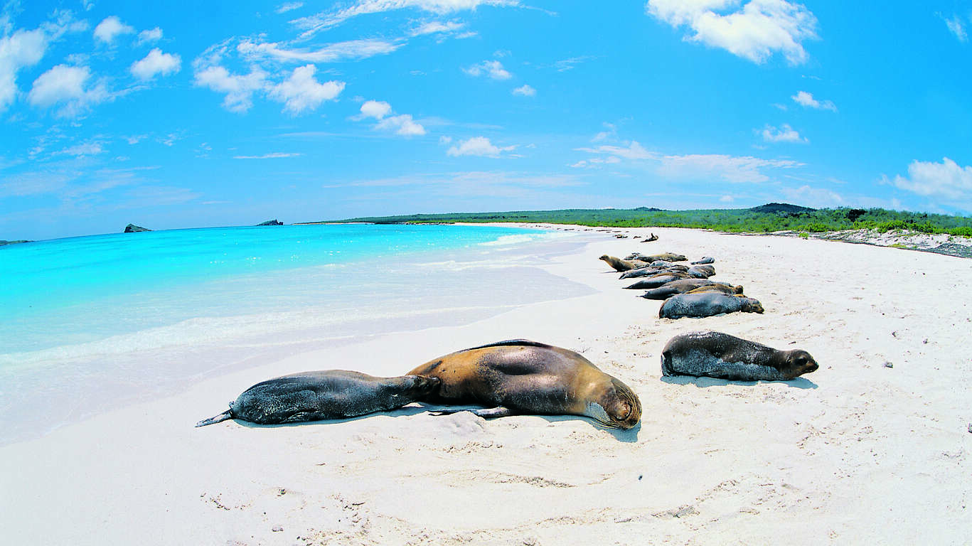 Terres Incas et îles des Galapagos