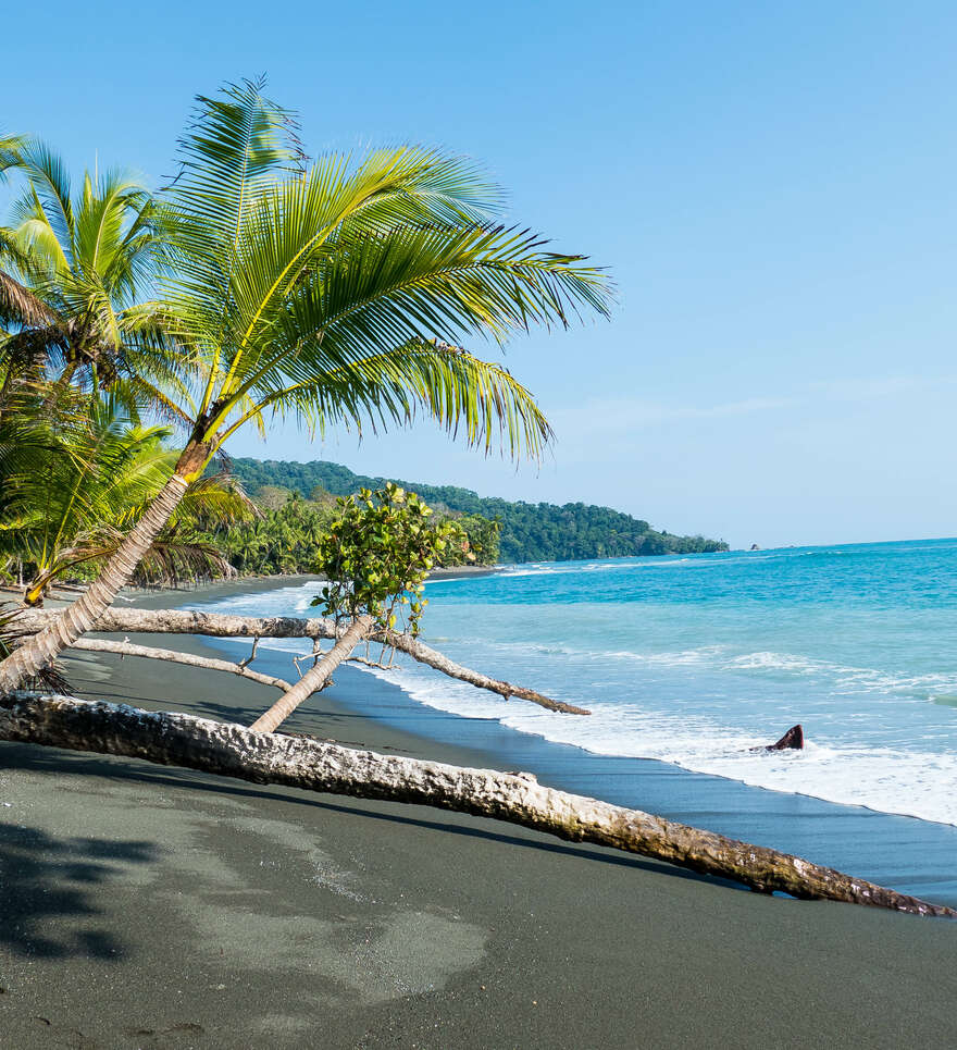 Explorez la faune et la flore costaricienne en famille 