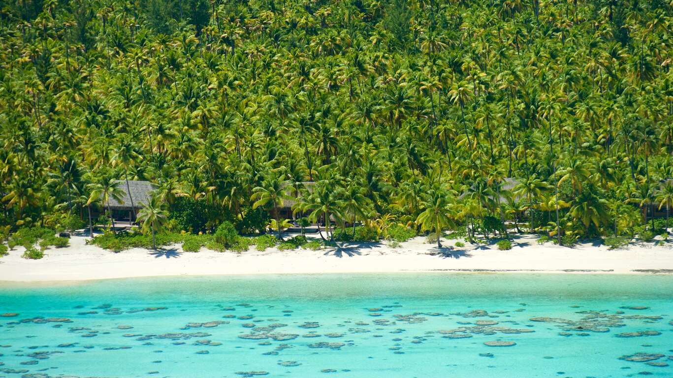 Voyage de luxe au Brando à Tetiaroa