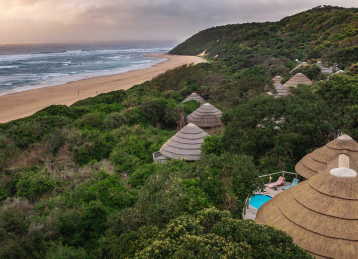 Safaris, brousse et plages du Kwazulu Natal en famille