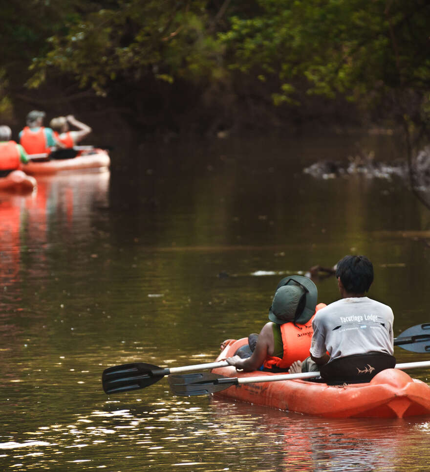 Les activités à faire lors d’un séjour en Amazonie au Brésil