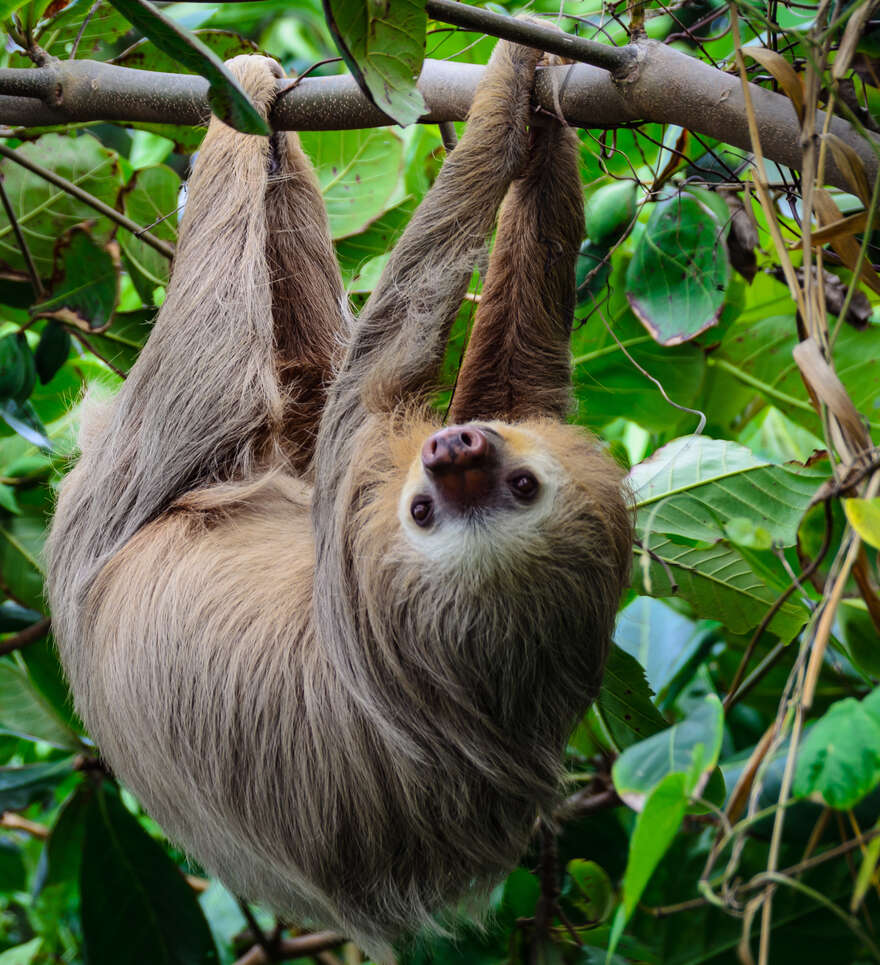 Détendez-vous en famille sur les plages du Costa Rica