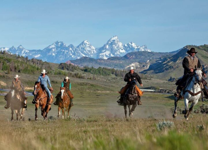 Insolite Yellowstone et Grand Teton