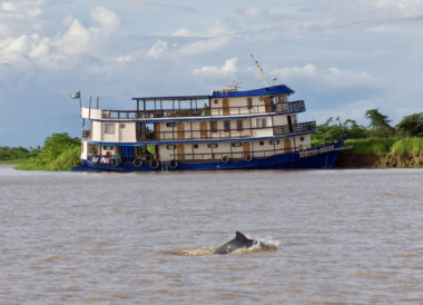 Immersion en Amazonie : croisière de charme à bord de l’Amazon Dream