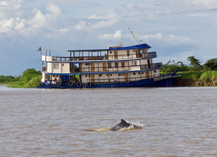 Immersion en Amazonie : croisière de charme à bord de l’Amazon Dream