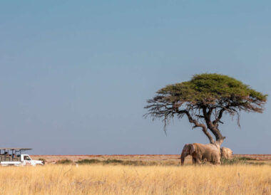 La Namibie avec guide privé