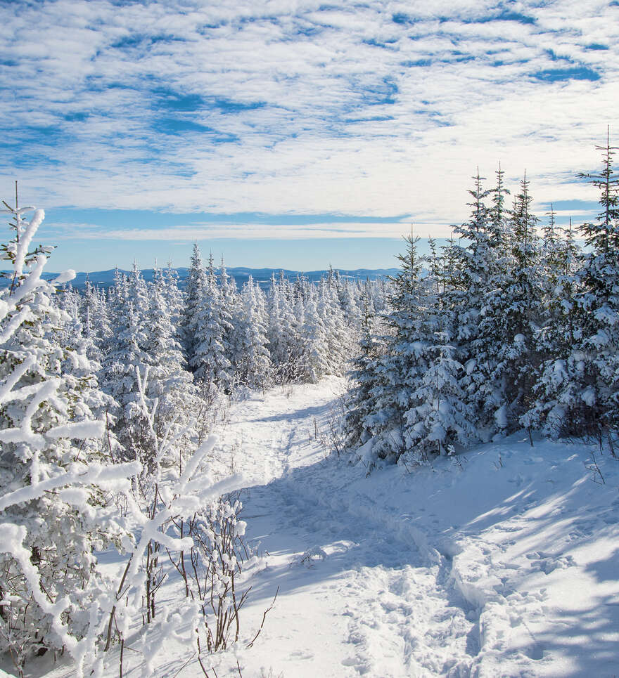 Essayez-vous aux joies du Canada en hiver et en automne