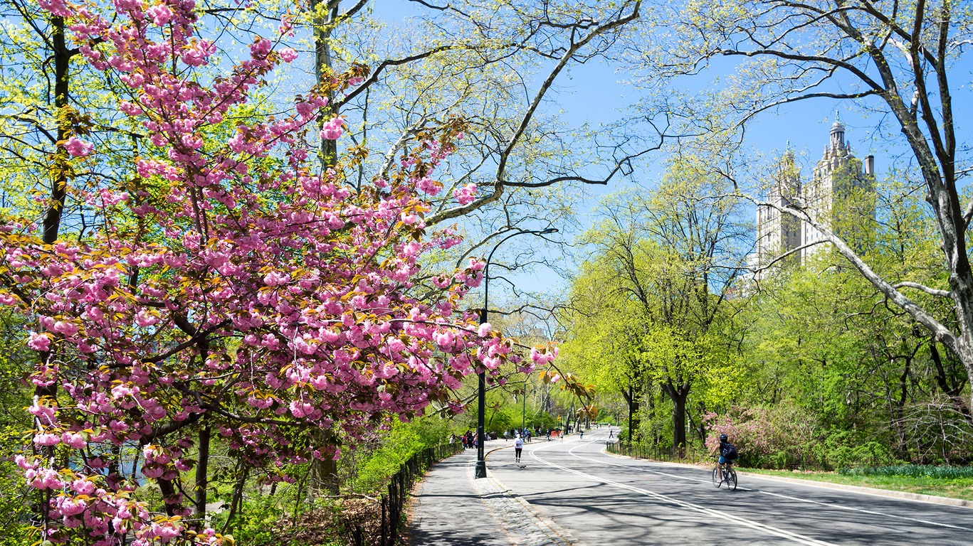 New York, ville créative et en perpétuel renouvellement