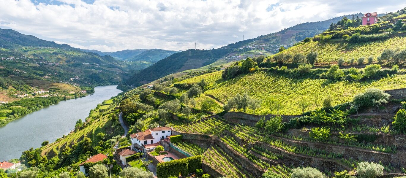 Voyage découverte et culinaire de Porto à Lisbonne 