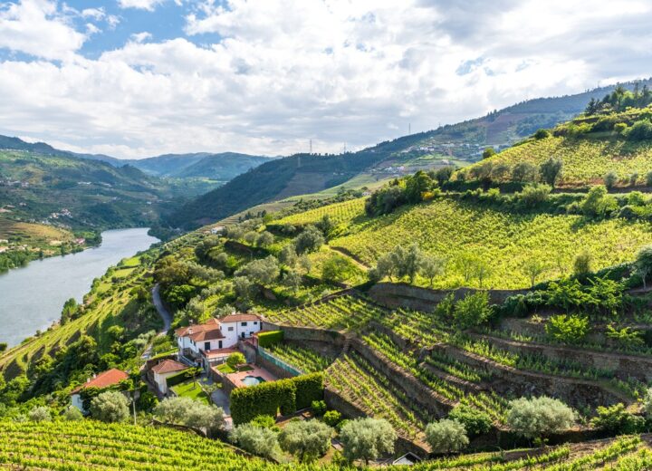 Voyage découverte et culinaire de Porto à Lisbonne