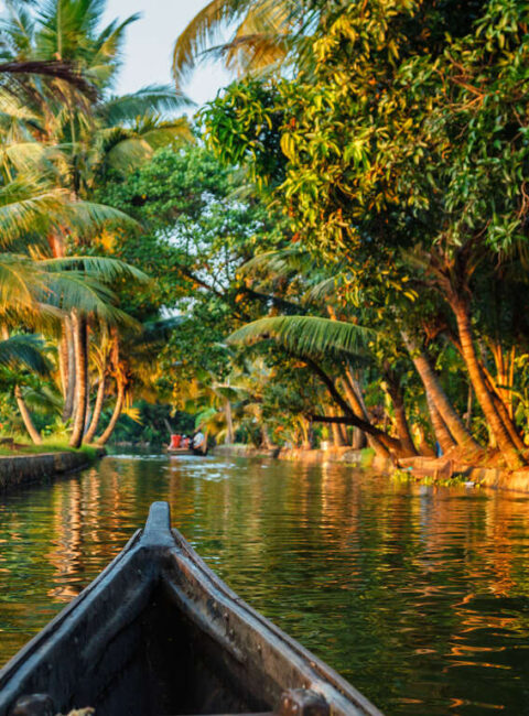 "Slow Travel" au Kerala