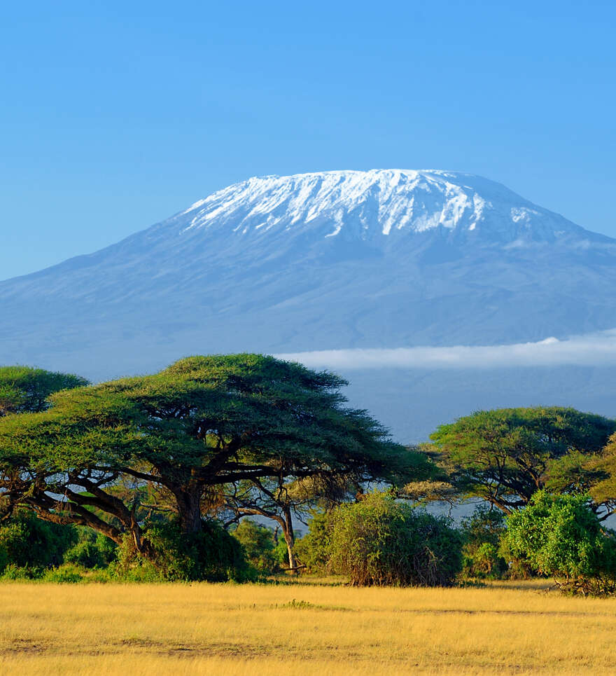 Découvrez les parcs nationaux de Tanzanie avec Cercle des Voyages